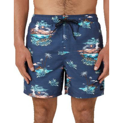 Bañador Rip Curl Scenic Para Hombre 