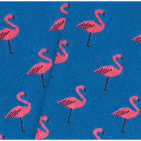 Calcetines Jimmy Lion Flamingo Blue