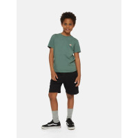 Pantalón Corto Dickies Mapleton Para Niños