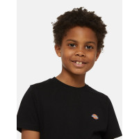 Camiseta Dickies Mapleton Para Niños