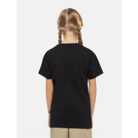 Camiseta Dickies Mapleton Para Niños