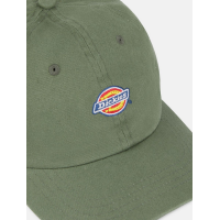 Gorra Hardwick De Dickies Unisex