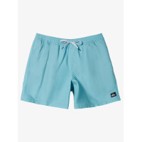 Bañador Quiksilver Everyday Solid Para Niños 