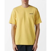 Camiseta Patagonia Responsibili-Tee Para Hombre 