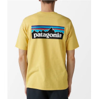 Camiseta Patagonia Responsibili-Tee Para Hombre