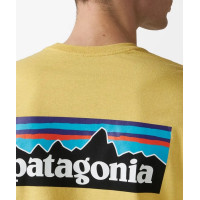 Camiseta Patagonia Responsibili-Tee Para Hombre