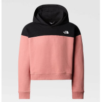 Sudadera The North Face Drew Peak Crop Para Niña