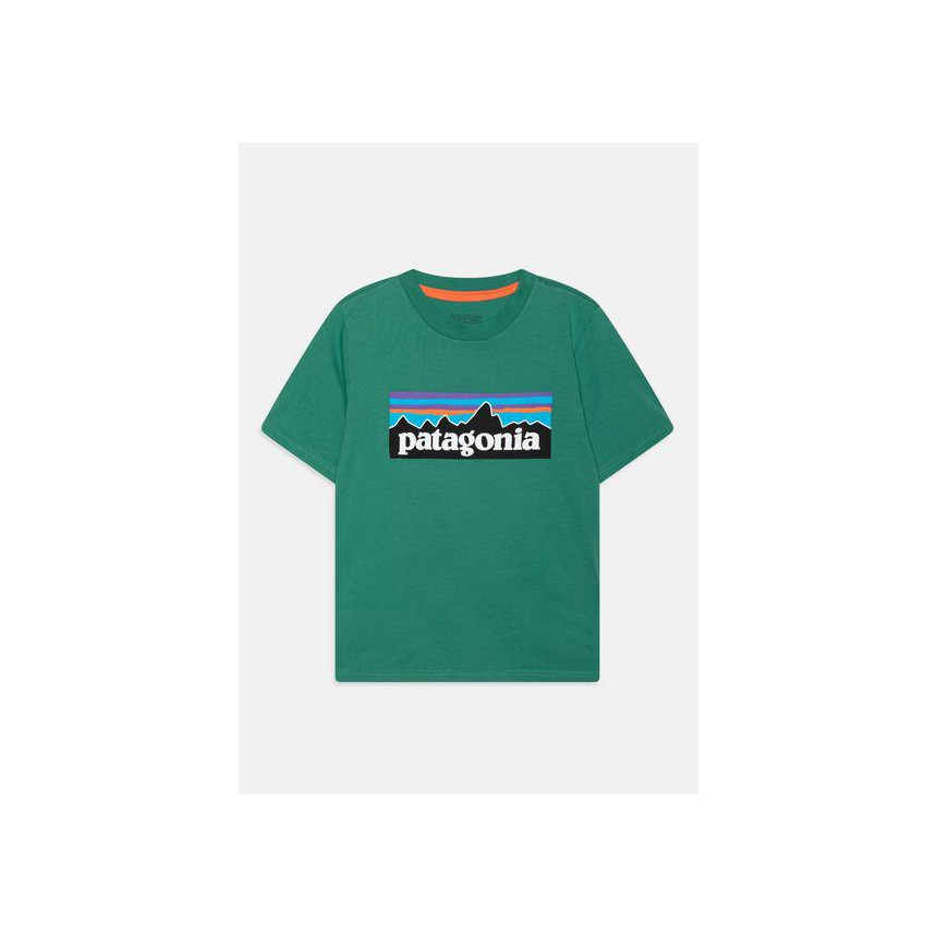 Camiseta Patagonia Logo Para Niño