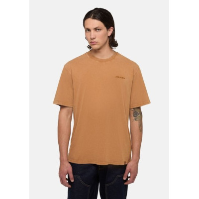 Camiseta Dickies Plentywood Para Hombre 