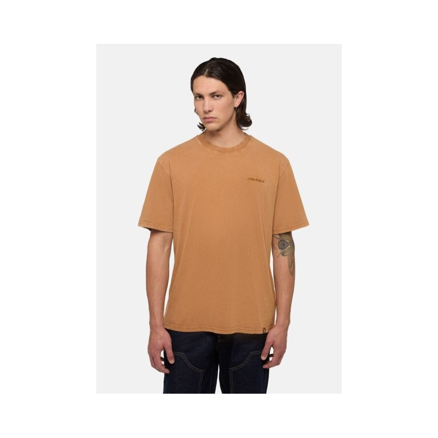 Camiseta Dickies Plentywood Para Hombre 