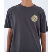 Camiseta Hurley Evd Naturals Para Hombre