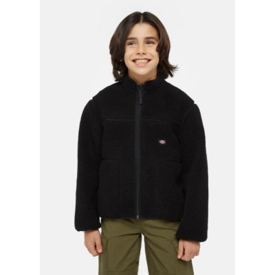 Sudadera Dickies Mount Hope Para Niños