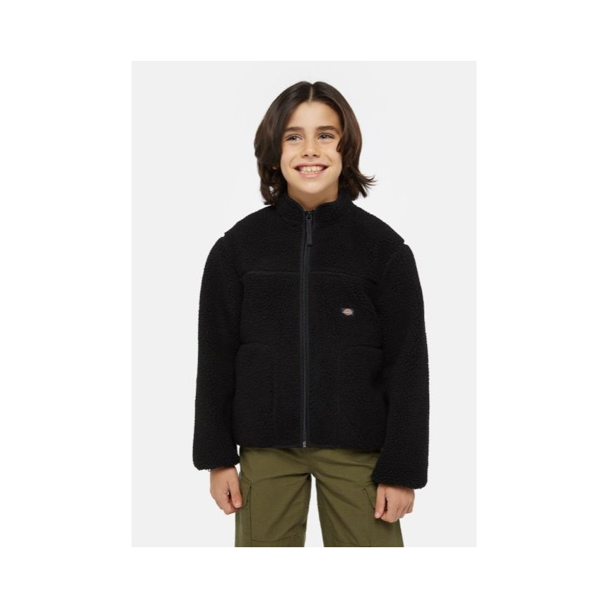 Sudadera Dickies Mount Hope Para Niños