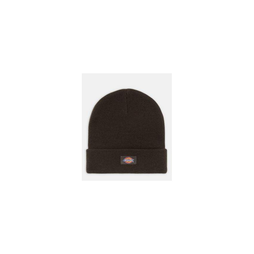 Gorro Dickies Gibsland Beanie 