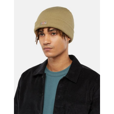 Gorro Dickies Gibsland