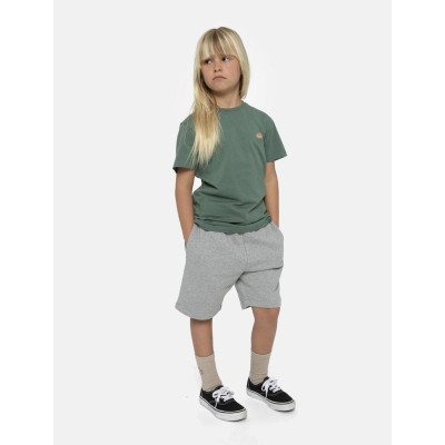 Pantalón Corto Dickies Mapleton Para Niños