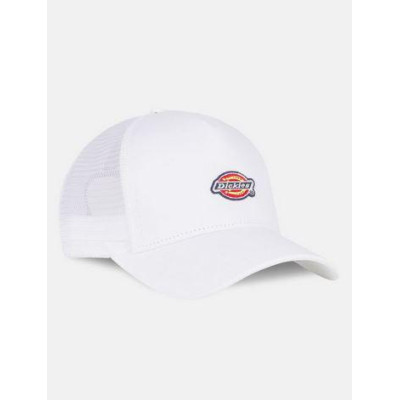 Gorra Dickies Hanston 