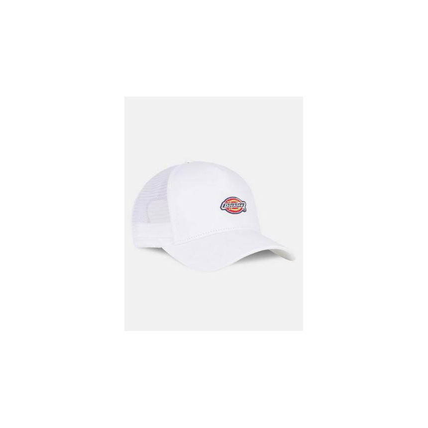 Gorra Dickies Hanston 