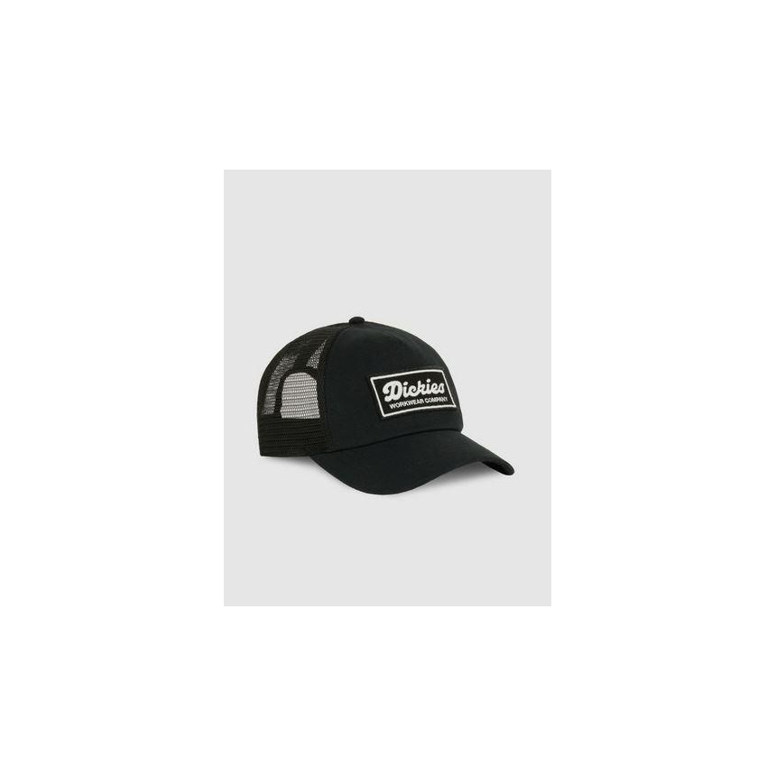 Gorra Dickies Lewistown 