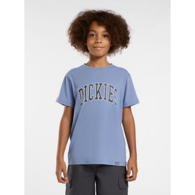 Camiseta Dickies Aitkin Para Niños 