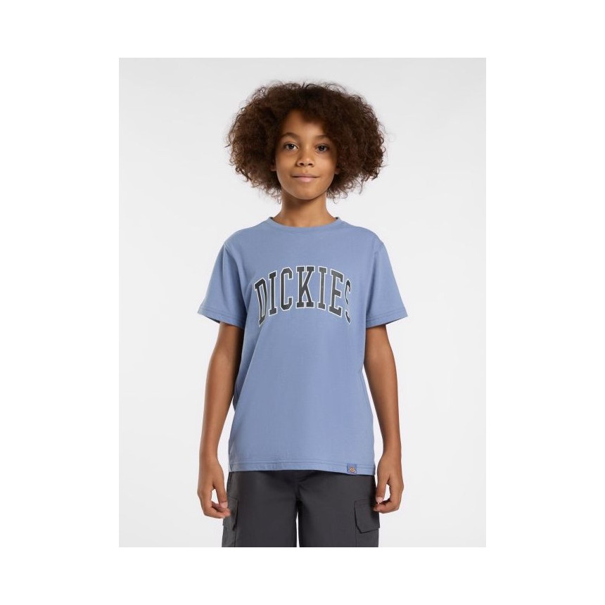 Camiseta Dickies Aitkin Para Niños 