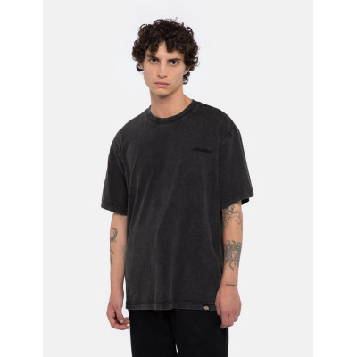 Camiseta Dickies Plentywood Para Hombre