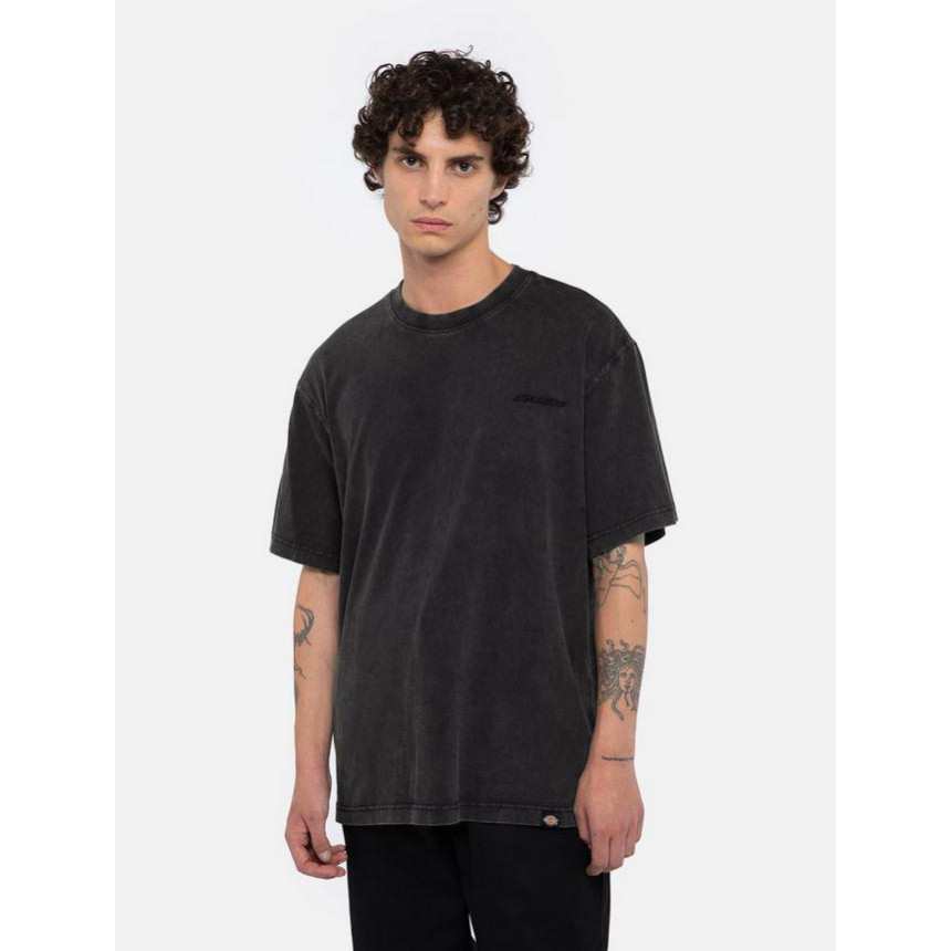 Camiseta Dickies Plentywood Para Hombre