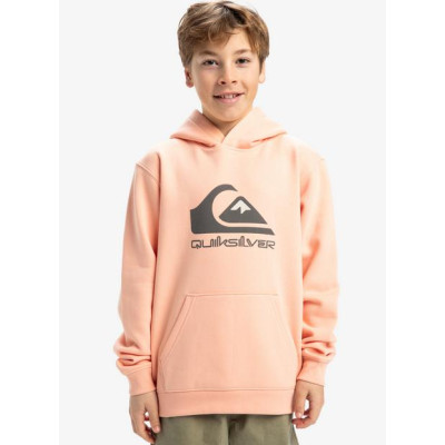 Sudadera Quiksilver Big Logo Hoodie Youth Para Niñ