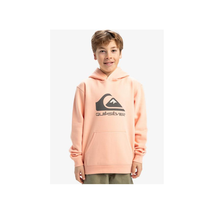 Sudadera Quiksilver Big Logo Hoodie Youth Para Niñ