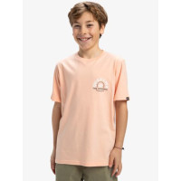 Camiseta Quiksilver Ev Summer Road Para Niños