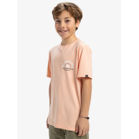 Camiseta Quiksilver Ev Summer Road Para Niños