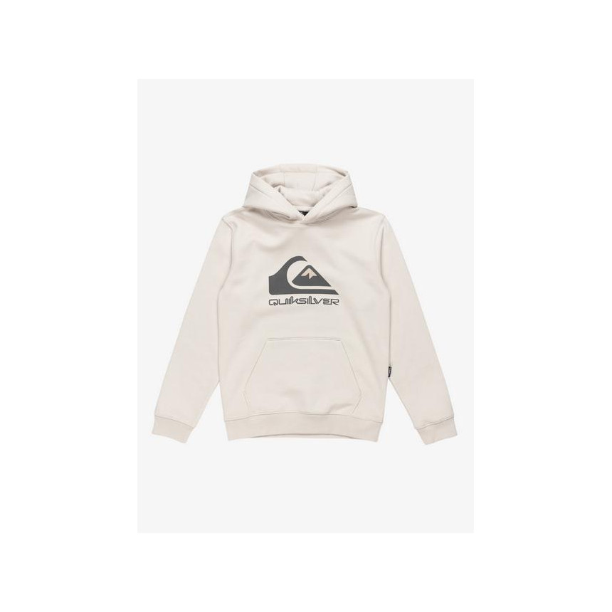 Sudadera Quiksilver Big Logo Para Niños 