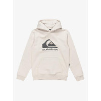 Sudadera Quiksilver Big Logo Para Niños 