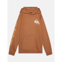 Sudadera Quiksilver Omni Logo Hoodie Youth Para Ni