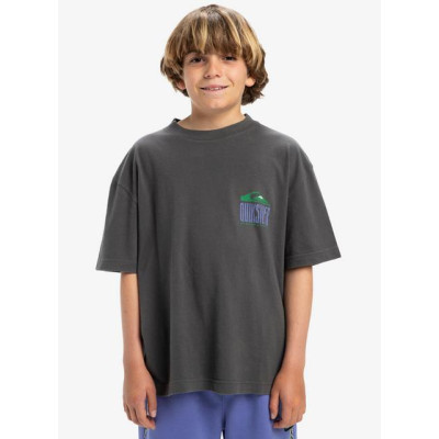 Camiseta Quiksilver World Force Para Niños 