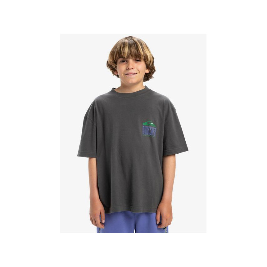 Camiseta Quiksilver World Force Para Niños 