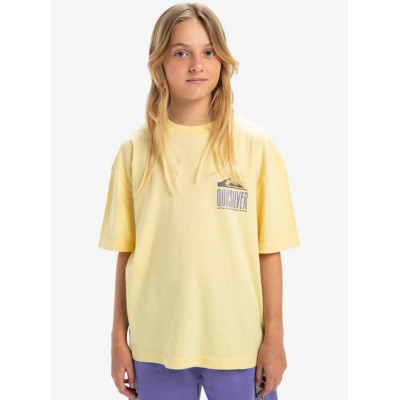 Camiseta Quiksilver World Force Para Niños 