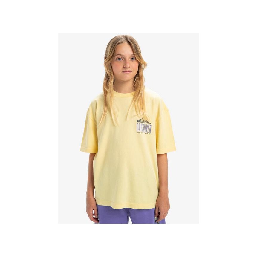 Camiseta Quiksilver World Force Para Niños 