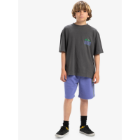 Camiseta Quiksilver World Force Para Niños