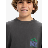 Camiseta Quiksilver World Force Para Niños