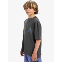 Camiseta Quiksilver World Force Para Niños