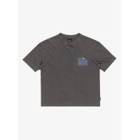 Camiseta Quiksilver World Force Para Niños