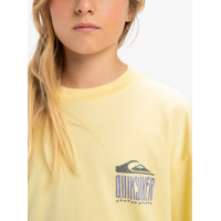 Camiseta Quiksilver World Force Para Niños