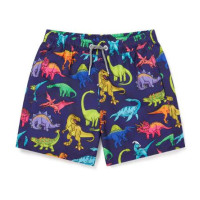 Bañador Boardies Vibrant Dino Para Niños 