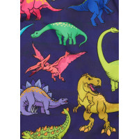 Bañador Boardies Vibrant Dino Para Niños 